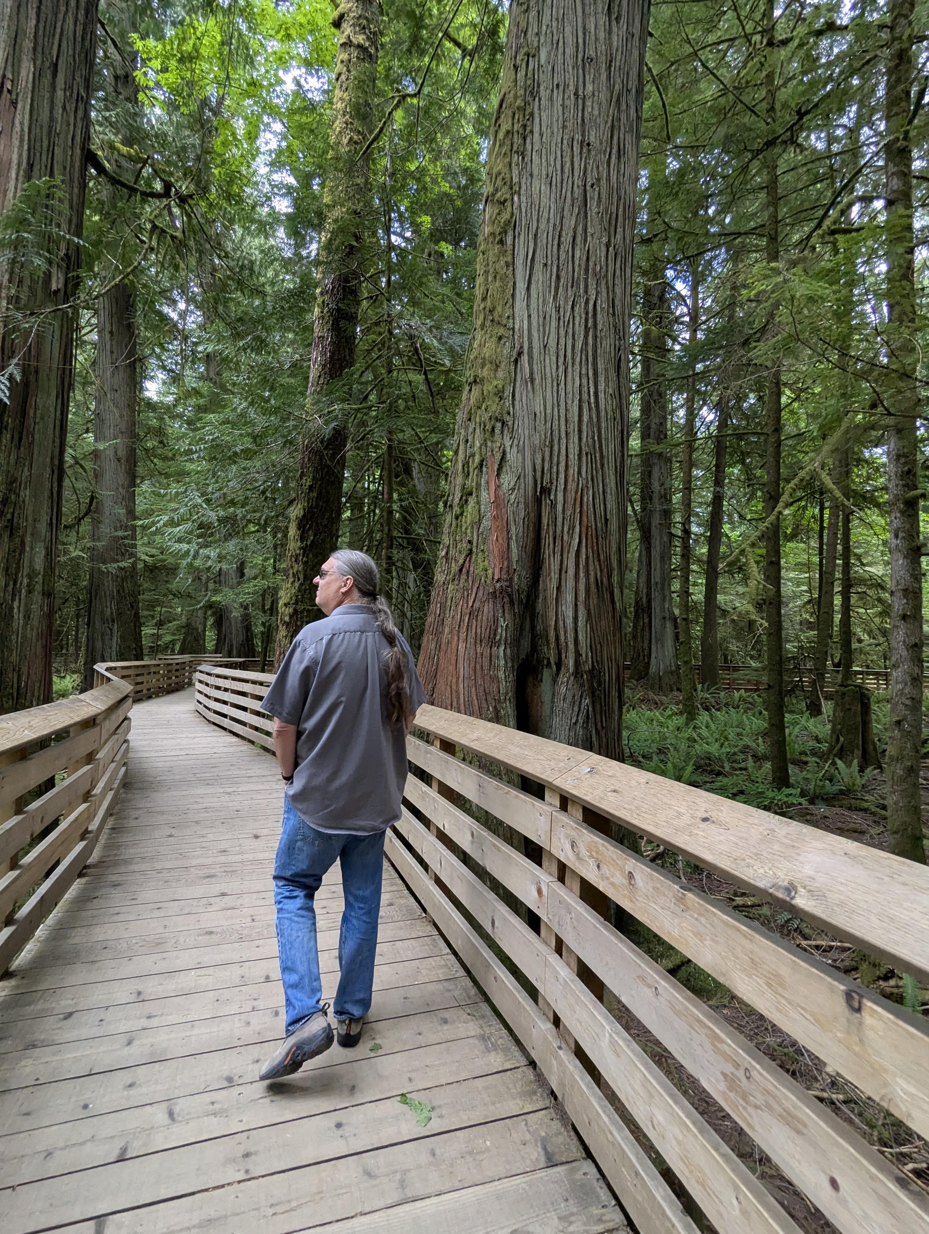Birthday Trip to Canada, Cathedral Grove, Vancouver Island